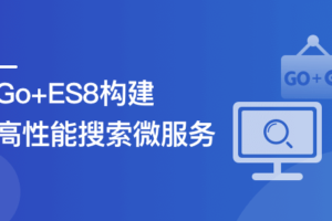 海量数据高并发场景，构建Go+ES8企业级搜索微服务|高清无秘