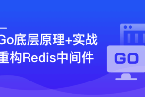 深入Go底层原理，重写Redis中间件实战课|完结无秘