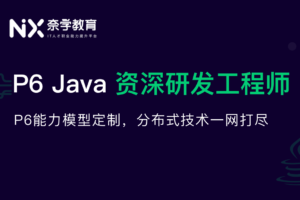 【奈学】Java资深研发工程师|高清无秘