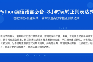 3小时玩转正则表达式|完结无秘