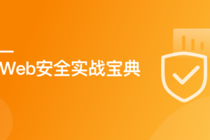 Web 安全实战宝典 系统学习网络安全核心技能|最新无秘