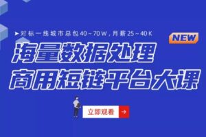 小滴课堂-微服务架构-海量数据商用短链平台项目大课 | 高清完结