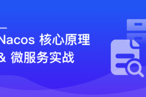 Nacos 核心原理解读+高性能微服务系统实战|高清完结无秘