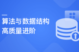 算法与数据结构高手养成-求职提升特训课|完结无秘