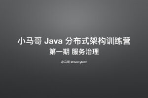 【小马哥】Java 分布式架构训练营第一期 – 服务治理|高清完结无秘