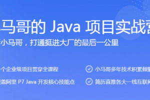 小马哥的 Java 项目实战营（完结）