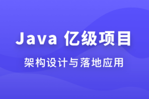 Java 亿级项目架构设计与落地应用(体系课)|完结