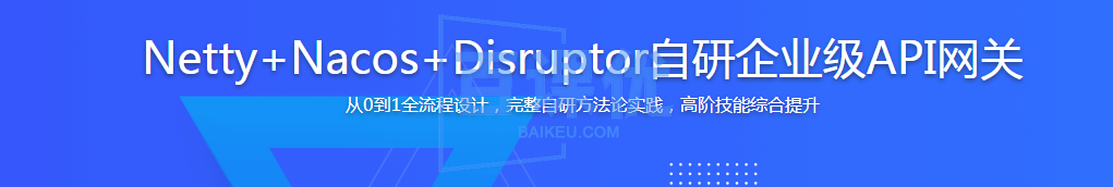 Netty+Nacos+Disruptor自研企业级API网关