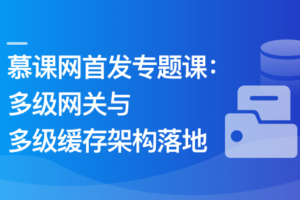 高性能多级网关与多级缓存架构落地实战|高清完结