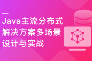 Java主流分布式解决方案多场景设计与实战|已完结