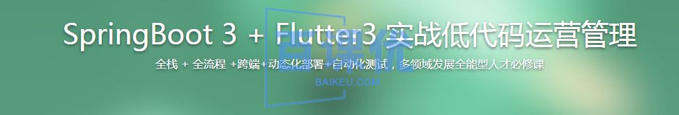 SpringBoot 3 + Flutter3 实战低代码运营管理