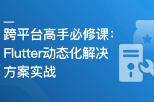 跨平台高手必修课–Flutter动态化解决方案实战|高清完结