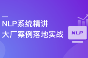 NLP系统精讲与大厂案例落地实战|高清完结