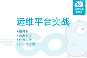 golang运维平台实战，服务树,日志监控，任务执行，分布式探测|完结无秘