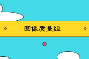 有三AI-CV中阶-图像质量组(2024年)