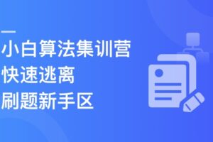 小白算法集训营-大幅提升刷题量，快速逃离新手区