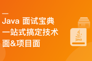 2024 Java 高分面试宝典 一站式搞定技术面&项目面|已完结