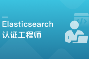 国际证书-Elasticsearch 认证工程师 一站式通关课|已完结
