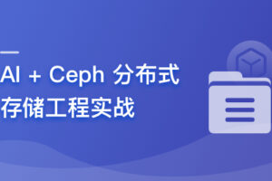 大模型基石 AI 分布式存储工程实战