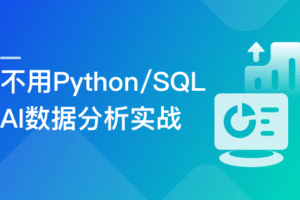 不用 Python/SQL，AI 数据分析实战课