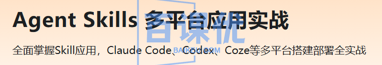 Agent Skills 多平台应用实战