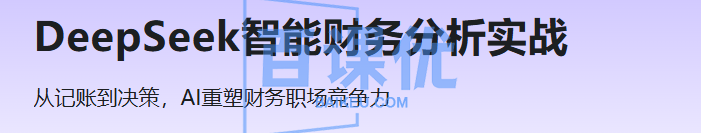 DeepSeek智能财务分析实战